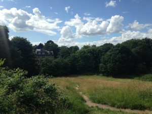 Branch Hill Pond, July 2016.